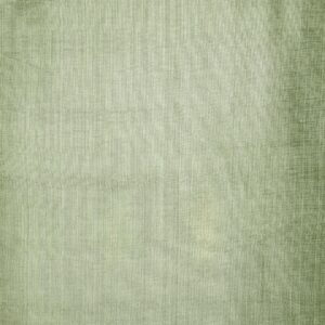 TAFTA MANCHEST    30